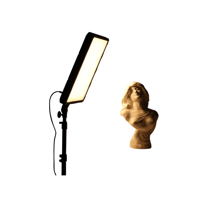 Nanlite 12-2007 - Compac 68B Bi-color