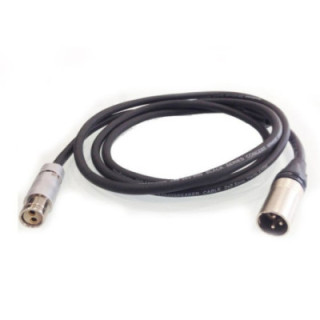 Canon 3165V707 - Video Codex 2-PIN Fisher Cable