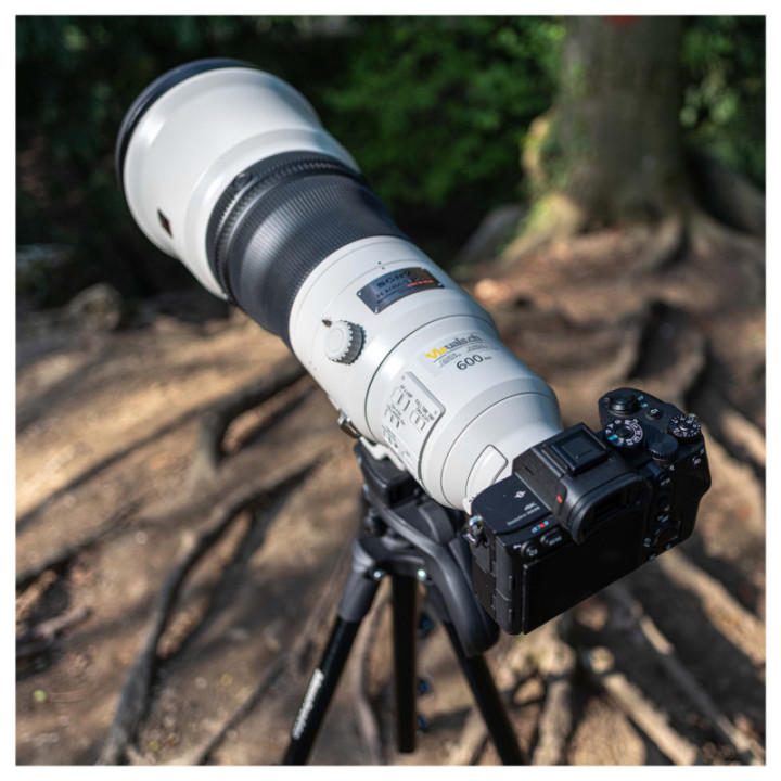 Sony SEL600F40GM.SYX - E-Mount FF 600mm GM F4 OSS