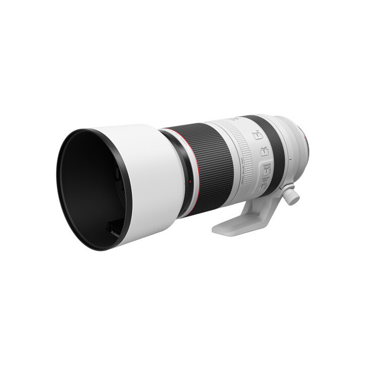 Canon 4112C006 - RF 100-500mm F4.5-7.1L IS USM Lens