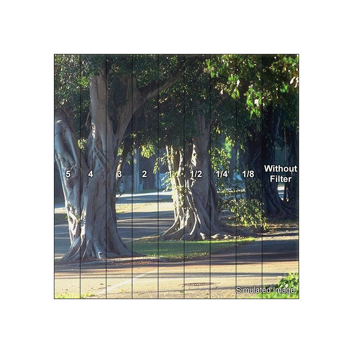 Tiffen 67LC2 - 67MM Low Contrast 2