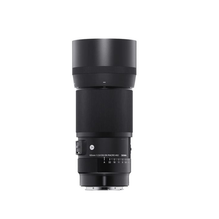 Sigma 260969 - 105mm f/2.8 DG DN Macro Art Lens for Leica L