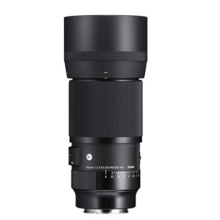 Sigma 260965 - 105mm f/2.8 DG DN Macro Art Lens for Sony E