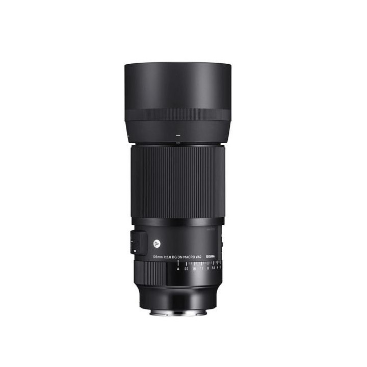Sigma 260965 - 105mm f/2.8 DG DN Macro Art Lens for Sony E