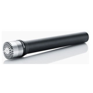 DPA Microphones 4041-SP - Large-Diaphragm Microphone