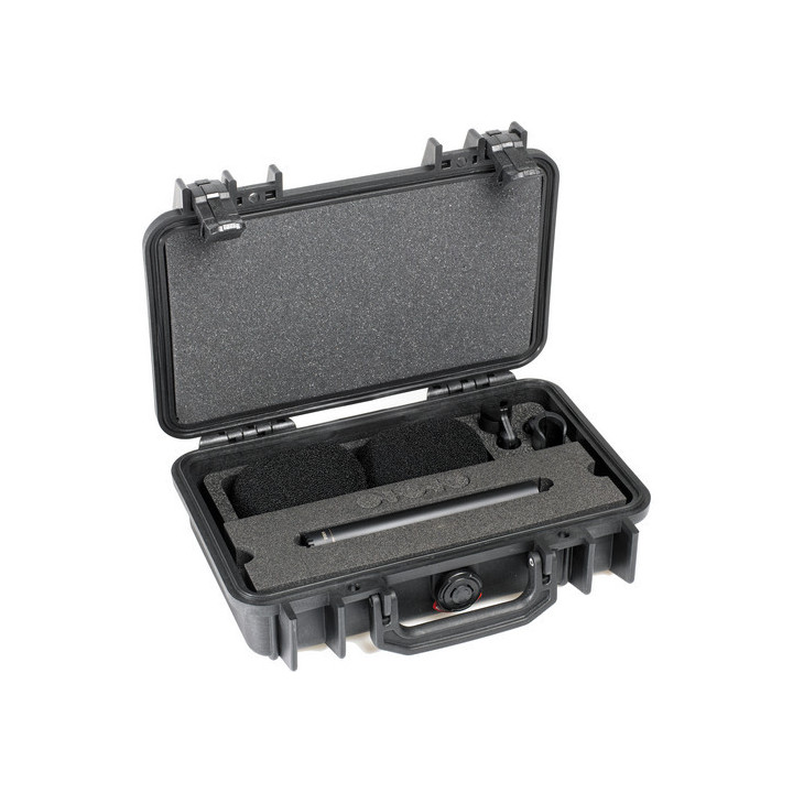 DPA Microphones ST2006A - Stereo Pair with Clips and Windshield in Peli Case