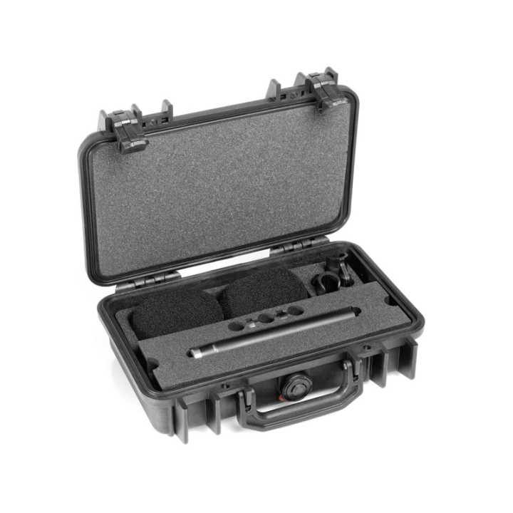 DPA Microphones ST4006A - Stereo Pair with Clips and Windshield in Peli Case