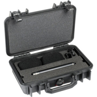 DPA Microphones ST4011A - Stereo Pair with Clips and Windshield in Peli Case