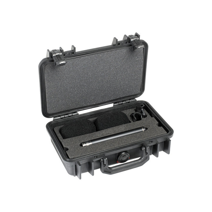 DPA Microphones ST4011A - Stereo Pair with Clips and Windshield in Peli Case