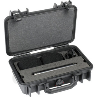 DPA Microphones ST4015A - Stereo Pair with Clips and Windshield in Peli Case