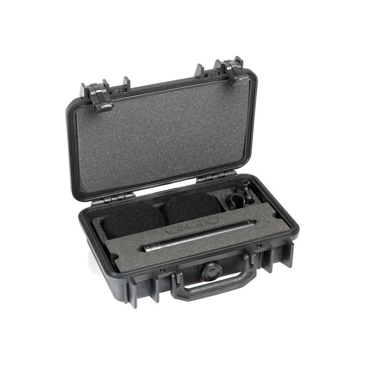 DPA Microphones ST4015A - Stereo Pair with Clips and Windshield in Peli Case