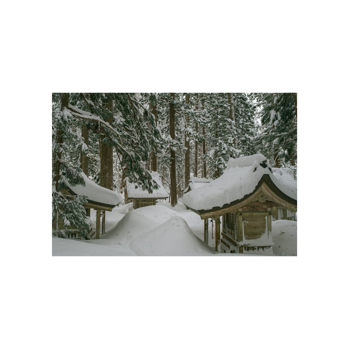 Sigma 402975 - 16mm F1,4 DC DN Contemporary (Fujifilm X)