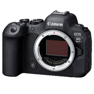 Canon 5666C035 - EOS-R6 Mark II Body