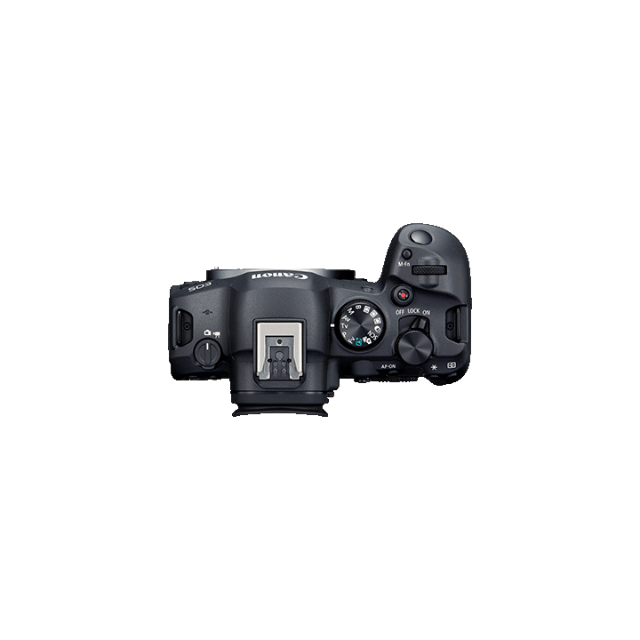 Canon 5666C035 - EOS-R6 Mark II Body