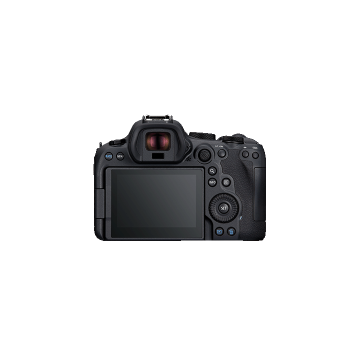 Canon 5666C035 - EOS-R6 Mark II Body