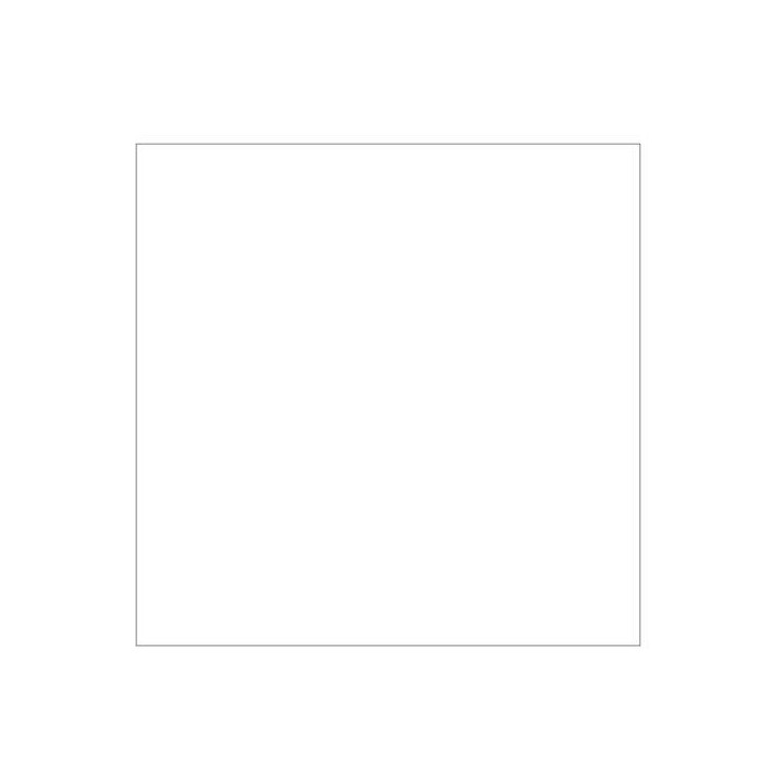 Falcon Eyes 2963501 - Background Paper 01 Arctic White 0.57 x 11 m