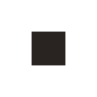 Falcon Eyes 2963520 - Background Paper 20 Black 0.57 x 11 m