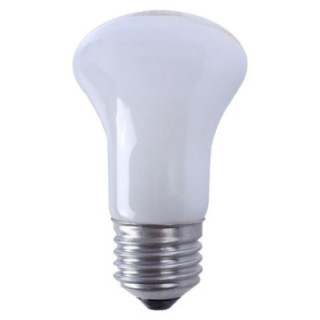 Falcon Eyes 8004559 - Halogen Modeling Lamp ML-60 60W E27 Socket