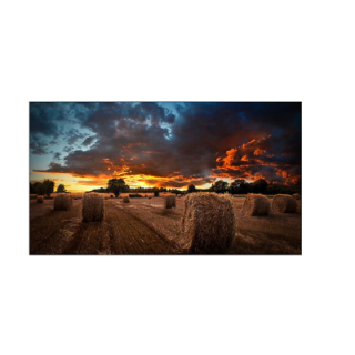 Samsung VM46B-U - Video Wall VMR-U Series 46"