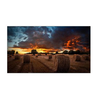 Samsung VM55B-U - Video Wall VMR-U Series 55"