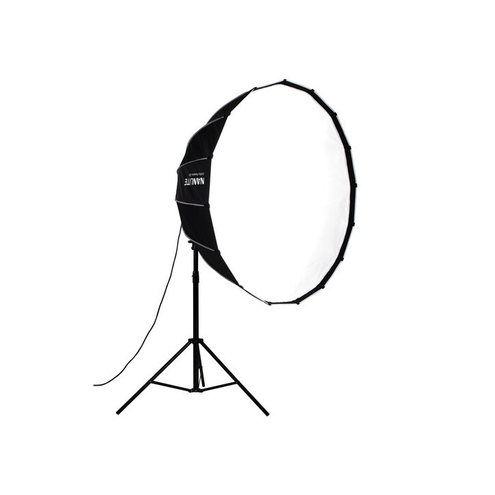 Nanlite 2.10.00.00.0777 - SB-PR-120-Q Carrying Bag