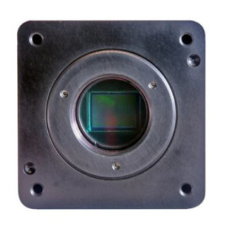 IO Industries 4KSDIMINID-N - Camera, 2K/4K, HD/UHD, 1in. Sony IMX305 sensor