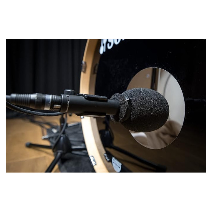 Beyerdynamic M 88 - Dynamic Microphone for Brass, Vocals and More