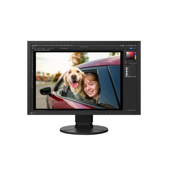 Eizo CS2400R - 24,1'' Color Edge 1920 x 1200 (16:10) Graphic Monitor, Black