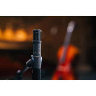 Sennheiser MKH-8030 - RF Condenser Microphone