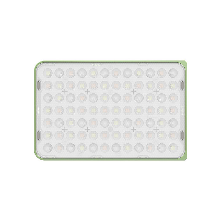 Amaran - Ace 25c Green