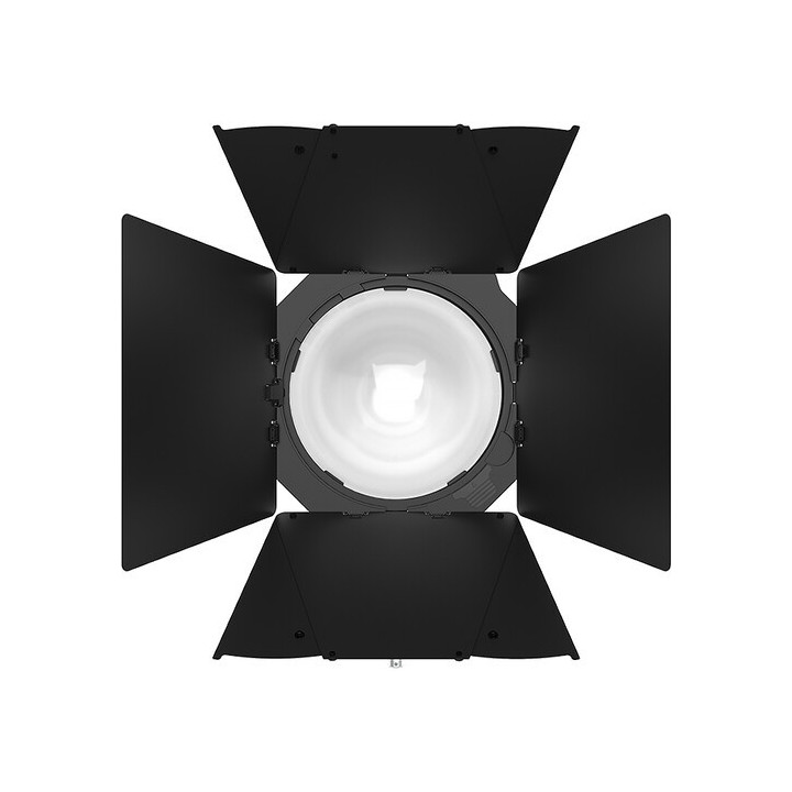 Aputure CF12 Barn doors