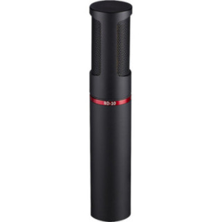 Rycote RYC979009 - BD-10 Bi Directional Mic