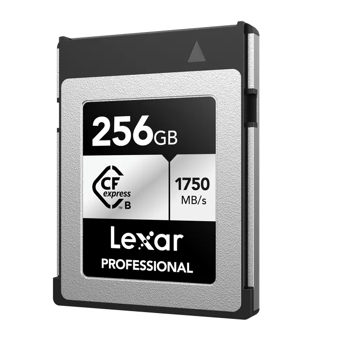 Lexar LCXEXSL256G-RNENG - 1750MB/s CFexpress B 256GB Silver