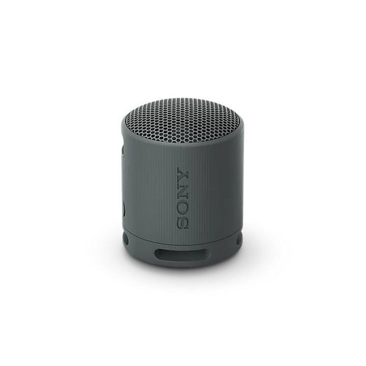 Sony SRSXB100B.CE7 - SRS-XB100 Speaker Black