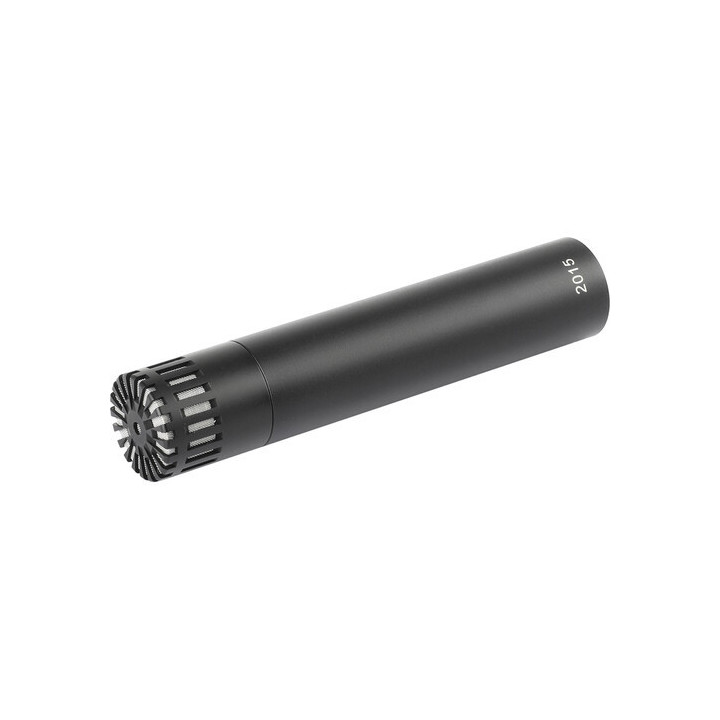 DPA Microphones ST2015 - Compact Wide-Cardioid Condenser Microphone (Stereo Pair)