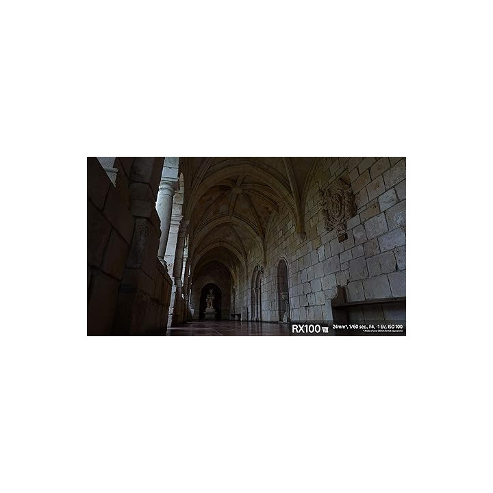 Sony DSCRX100M7AB.CEH - CYBER-SHOT RX SERIES - RX100M7