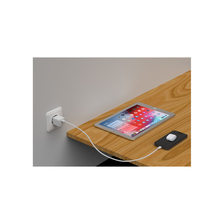 LMP ZX51T - USB-C GaN Power Adapter 20W