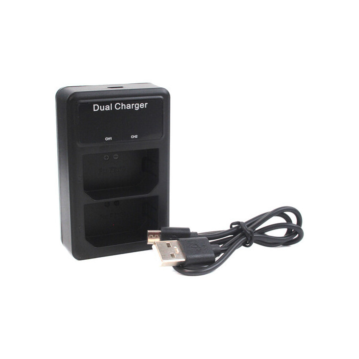 Hawkwoods DV-Z2 -  2-Ch Sony Z-Series Simultaneous Charger