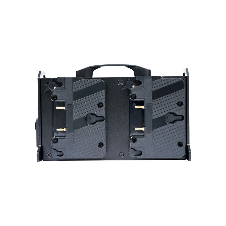 FXLion FX-NANO4A - 4 Channel Charger for NANO Gold-Mount batteries