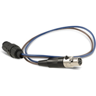 AJA DRM2-PLUS-CX - Male-Mini-Con-X-to-Female-Mini-XLR Adapter Cable 12"
