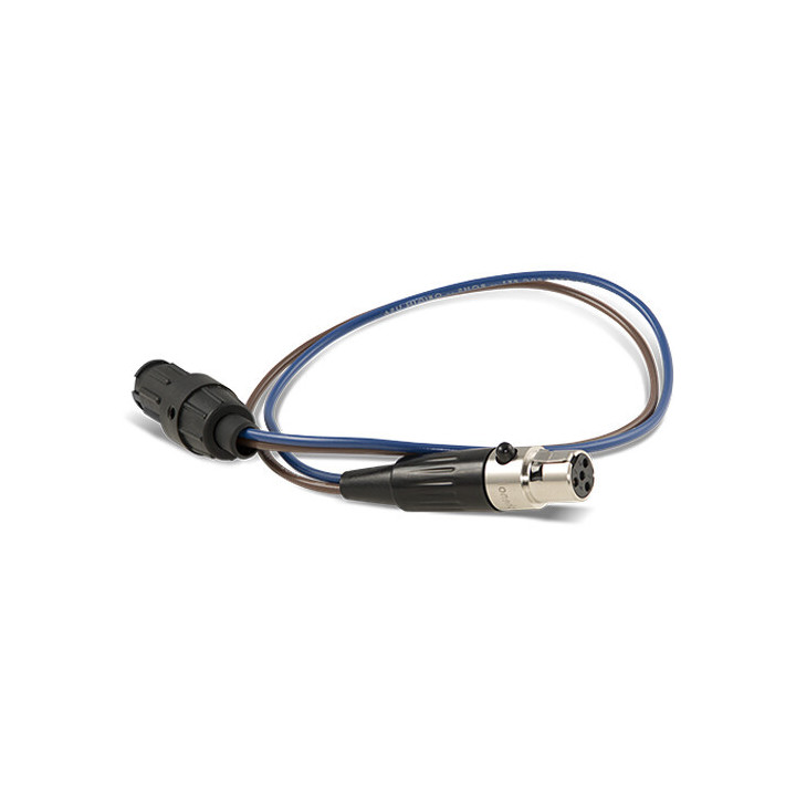 AJA DRM2-PLUS-CX - Male-Mini-Con-X-to-Female-Mini-XLR Adapter Cable 12"