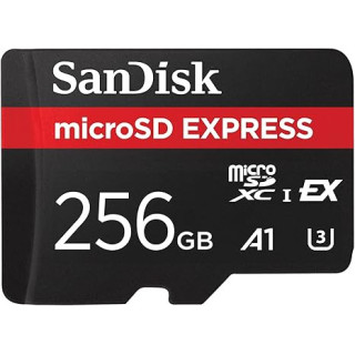 Sandisk SDSQXFN-256G-GN6GN - Express GamePlay microSDXC 256GB