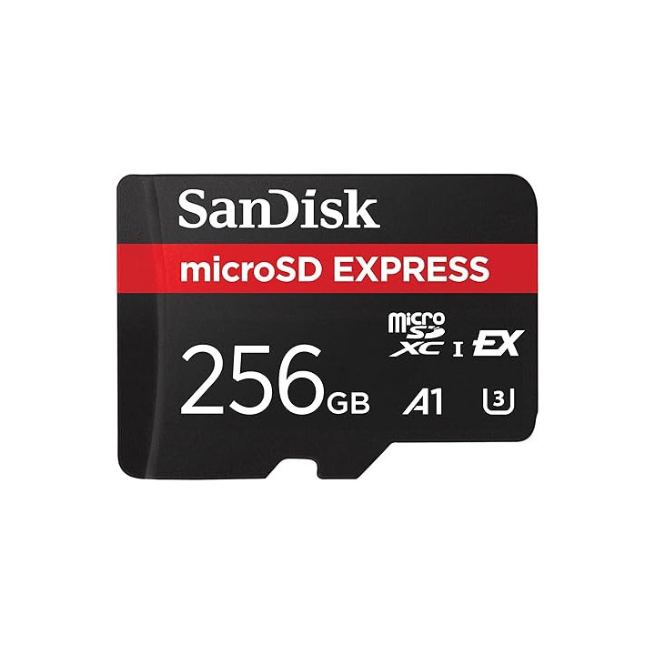 Sandisk SDSQXFN-256G-GN6GN - Express GamePlay microSDXC 256GB