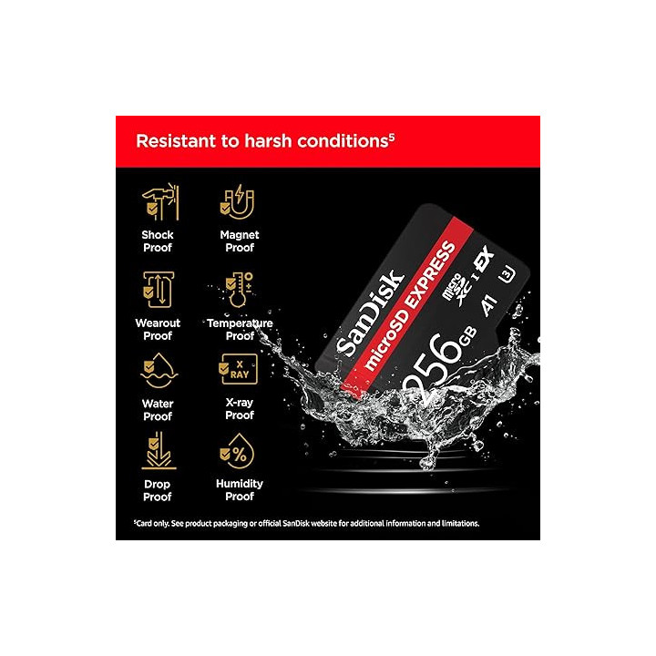 Sandisk SDSQXFN-256G-GN6GN - Express GamePlay microSDXC 256GB