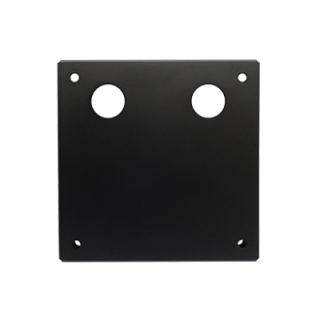 Eizo VESAMP100 - VESA 100 Mounting Plate