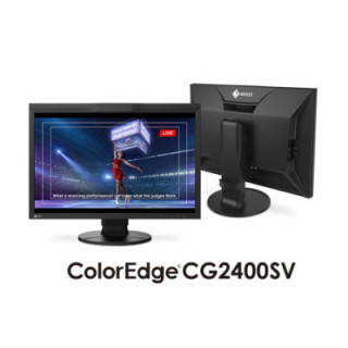 Eizo CG2400SV - 24.1" Color Management LCD Monitor
