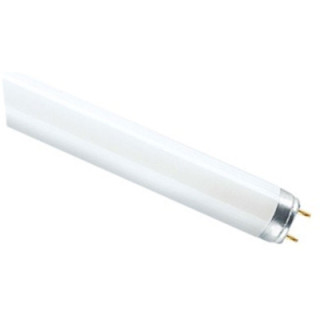 Osram ECMDIV or Generic product - T8 LUMILUX 1200MM G13 L36W/940