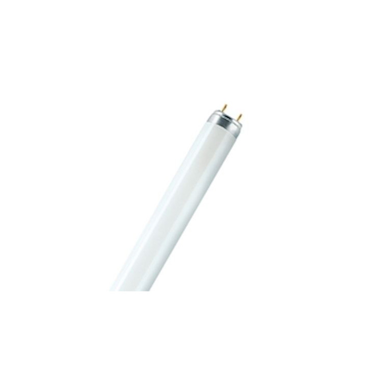Osram ECMDIV or Generic product - T8 LUMILUX 1500MM G13 L36W/940