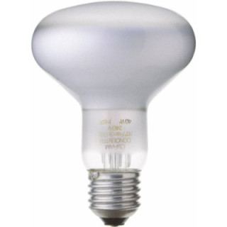 Osram ECMDIV or Generic product- CONCENTRA SPOT E27 100W