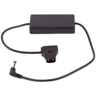 Wooden Camera WC-194400 - D-Tap to Sony FS7, FS5, Panasonic EVA1